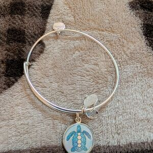 Alex and Ani Silver Turtle Charm Bracelet